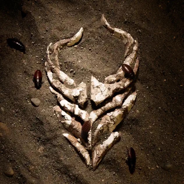 Demon Hunter I'm Done