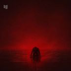 The Fool (Mayday) by Nine Lashes